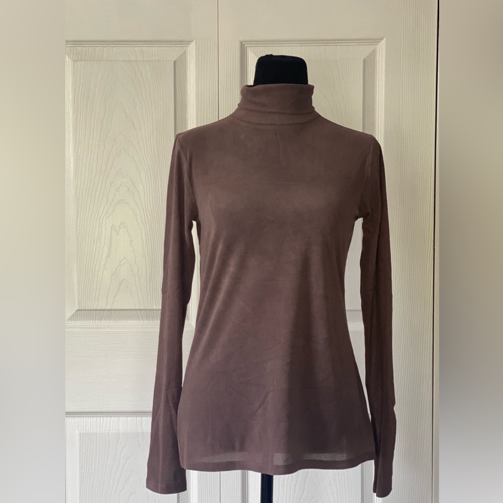 Express Semi Sheer Turtleneck